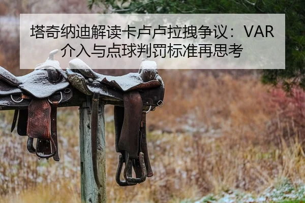 塔奇纳迪解读卡卢卢拉拽争议：VAR介入与点球判罚标准再思考